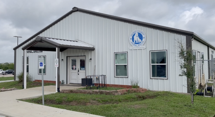 Texas pet owners urged to protect animals as New World screwworm cases rise